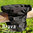 Finnero Brava koiran juoksuhousut, musta