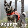 Finnero Brava Forest koiran huomioliivi