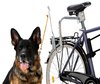 Pro Dogger Juoksutusteline polkupyörään