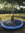 Nobby Splash Pool koiran allas 100 cm