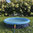 Nobby Splash Pool 2 in 1 koiran allas 120 cm