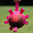 Dog Comets Hypernova koiran pallo, 15 cm